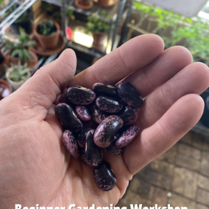 Beginner Gardening Workshop - April 25