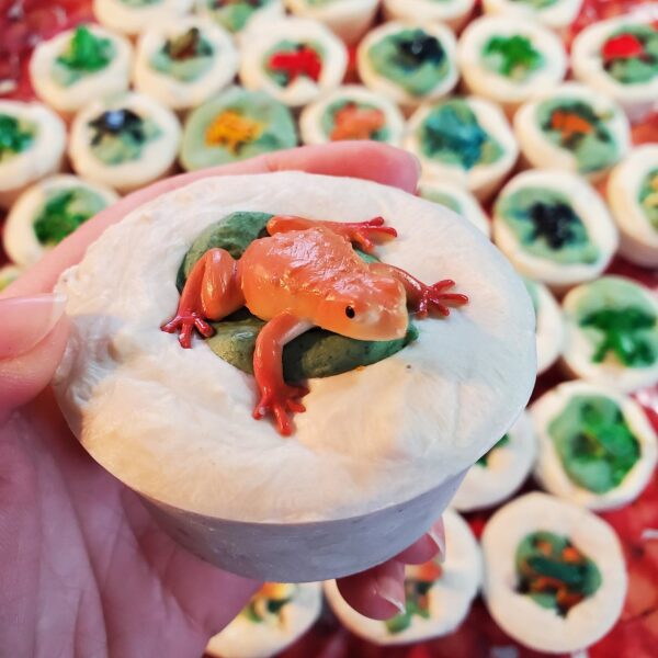 Frog Soap