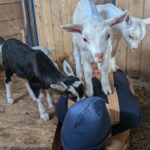 Talk with the Animals